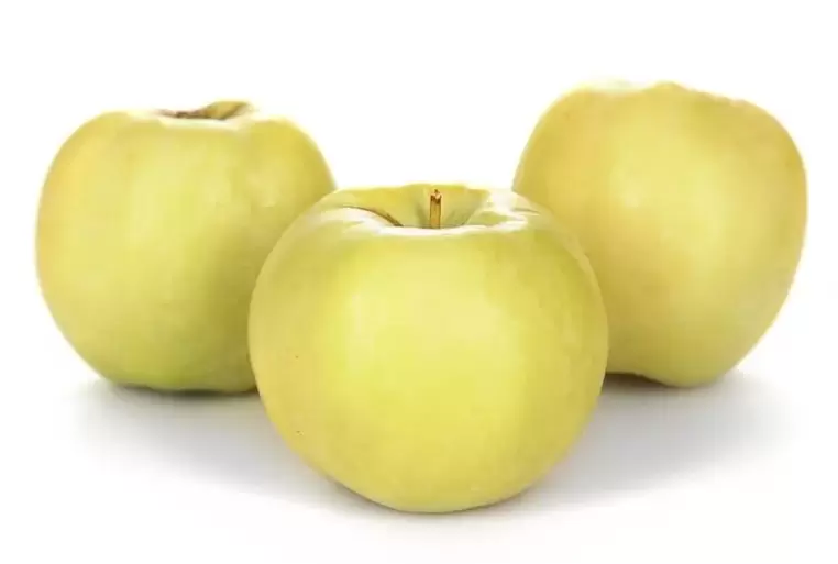 ვაშლი ვარიკოზული ვენების სამკურნალოდ